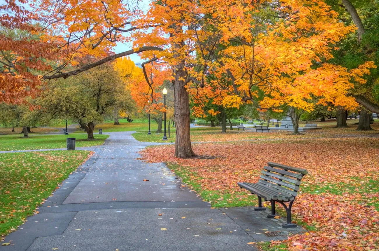 15_-of-Jewish-adults-experience-loneliness,-depression,-or-anxiety